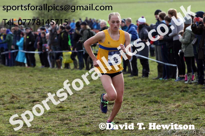 Girls under-15s 2019 British Athletics Inter Counties Cross Country, Prestwood Hall, Loughborough. Photo:  David T. Hewitson/Sports for All Pics